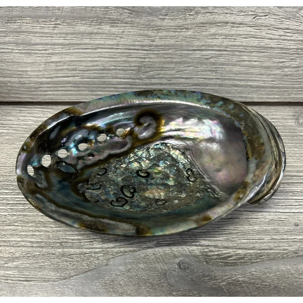 Large Abalone Seashell Iridescent Bowl Beach Home‎ Decor Pearl A3